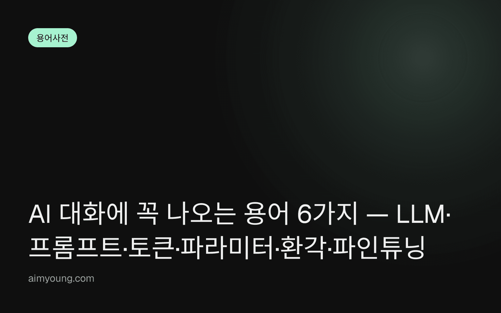 AI 대화에 꼭 나오는 용어 6가지 — LLM·프롬프트·토큰·파라미터·환각·파인튜닝